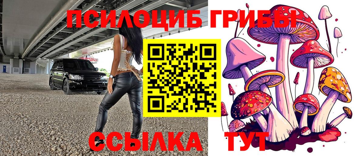 Галлюциногенные грибы мицелий  Галлюциногенные грибы Magic Shrooms  Вход с VPN  Балаково 